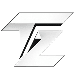 Techizons logo